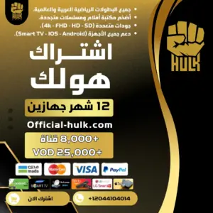 اشتراك هولك 12 شهر جهازين